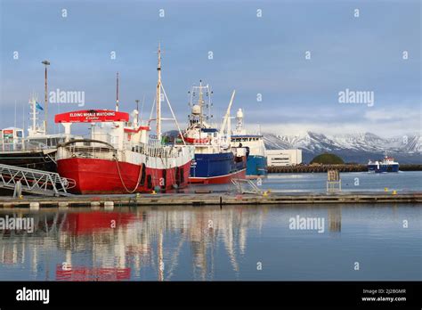 The Old Harbour, Reykjavik, Iceland. Elding whaling ship sits foreground; the art installation ...