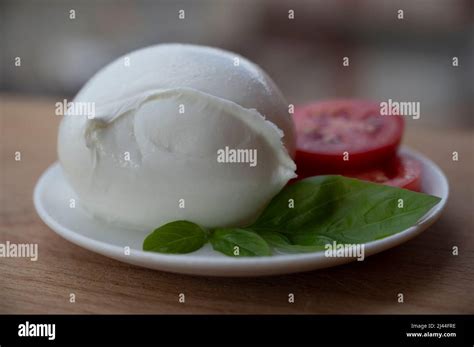 White Ball Of Italian Soft Cheese Mozzarella Di Bufala Campana Served