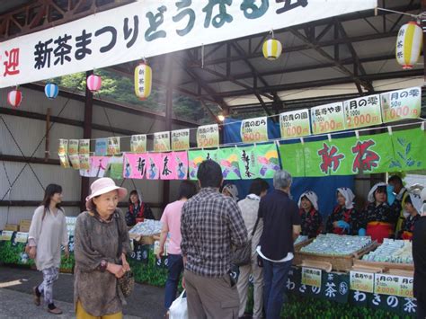 霧の森 お茶まつり お祭り・イベント 四国中央市観光協会 ～愛媛県四国中央市の観光情報をご紹介～