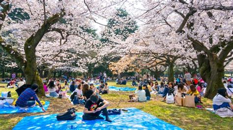 Parque Yoyogi qué ver y cómo llegar Japan Rail Pass