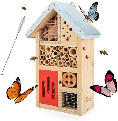 Amazon Navaris Wooden Ladybug Habitat Hanging Real Pinewood