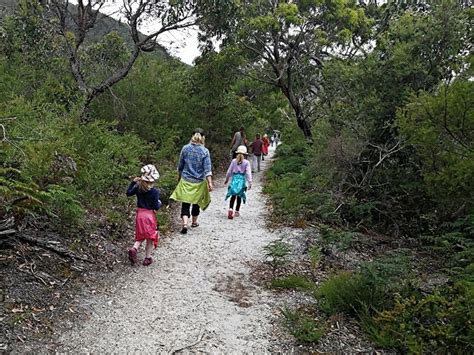 Lilly Pilly Gully Loop Walk Tidal River Wilsons Promontory Walking