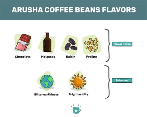 Arusha Coffee Beans: A Unique Arabica Variety