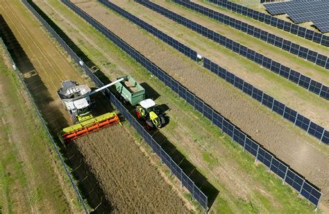 Vertikale Agri Pv Von Next Sun F R Doppelte Landnutzung