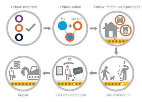 H100 NIA Hydrogen Odorant And Gas Detection SGN Your Gas Our Network