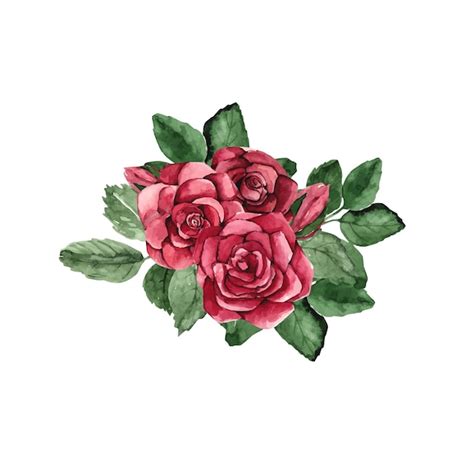 Premium Vector Watercolor Red Rose Bouquet Illustrations