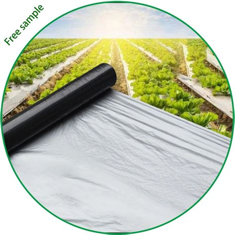 30 Micron Black Silver Mulch Film For Agriculture Strawberry Farming