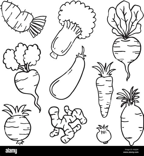 Set Of Vegetables Doodles Hand Draw Vector Art Stock Vector Image Art