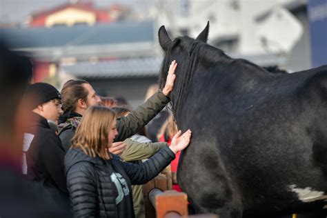 Fieracavalli 2024 Ministro Abodi