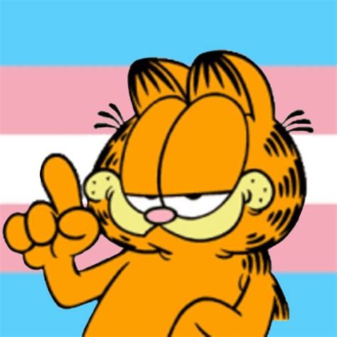 Trans Garf Iconpfp Garfield Images Garfield Pictures Garfield Cartoon