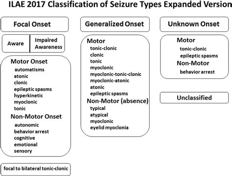 An Overview Of The 2017 Ilae Operational Classification Of Seizure