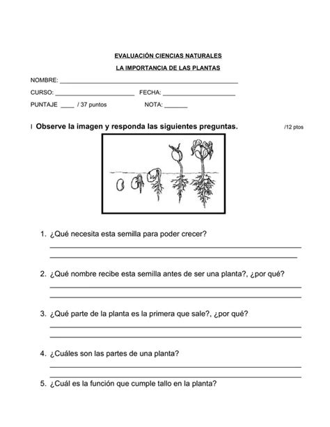 Prueba Unidad La Importancia De Las Plantas Profe Social