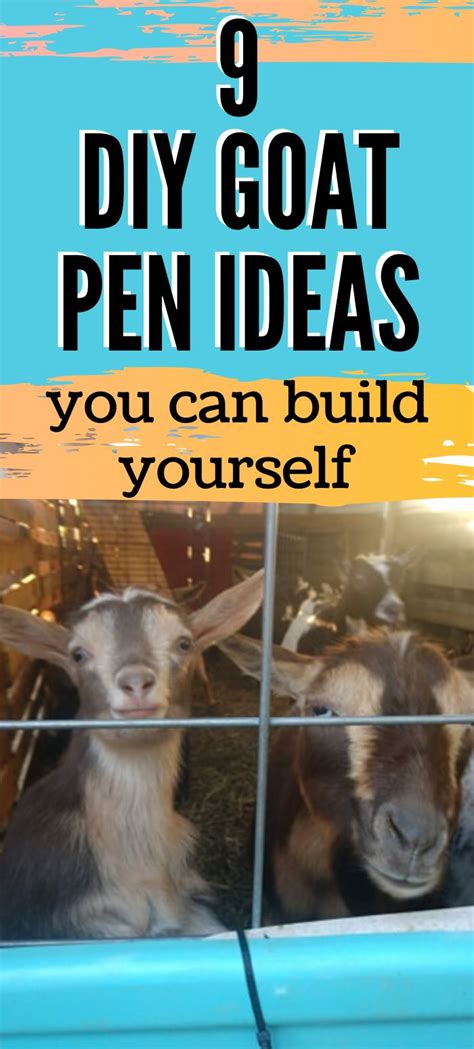 DIY Goat Pen Ideas: Plans To Keep Your Goats Safe | Goat pen, Goat ...