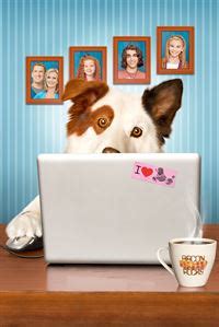 Hund Mit Blog Staffel Episodenguide Fernsehserien De