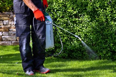 Lawn Weed Control - LawnBright