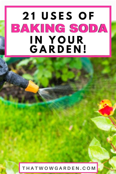 21 Brilliant Ways To Use Baking Soda In Your Garden ThatWoWGarden