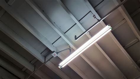 14 Amazing Brightest Fluorescent Tubes For 2024 Storables