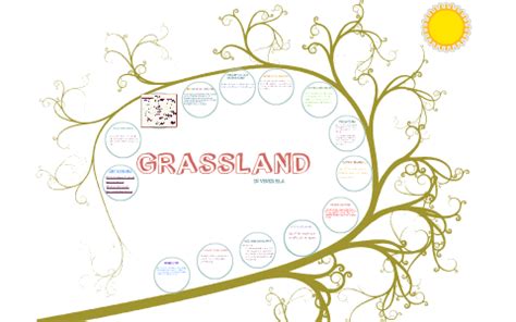 LLANOS GRASSLAND BIOME by Camila Cho on Prezi