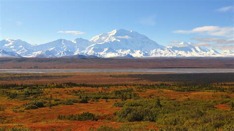 Why Is Denali National Park So Popular? - Getaway Couple