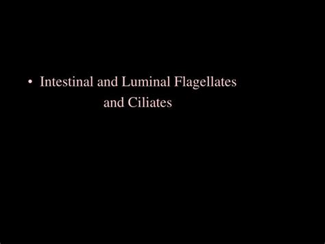 Ppt Intestinal And Luminal Flagellates And Ciliates Powerpoint Presentation Id1103181