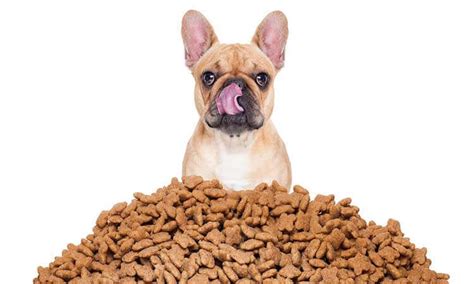 The Best Dog Treats For Small Dogs Pet Food Pet Snap