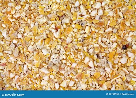 Cracked corn bird seed stock image. Image of grain, close - 18219935