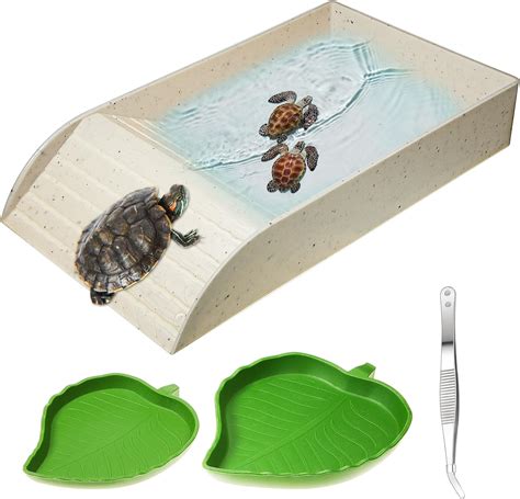 Amazon Hsei Pcs Tortoise Water Bowl With Ramp Turtle Feeding