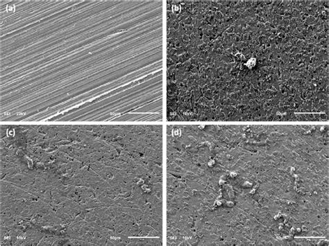 Sem Micrographs Of Mild Steel In Nacl Solution After H Immersion