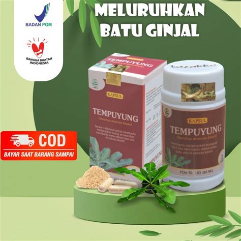 Jual KAPSUL TEMPUYUNG TAZAKKA ORIGINAL AMPUH HANCURKAN BATU GINJAL DAN