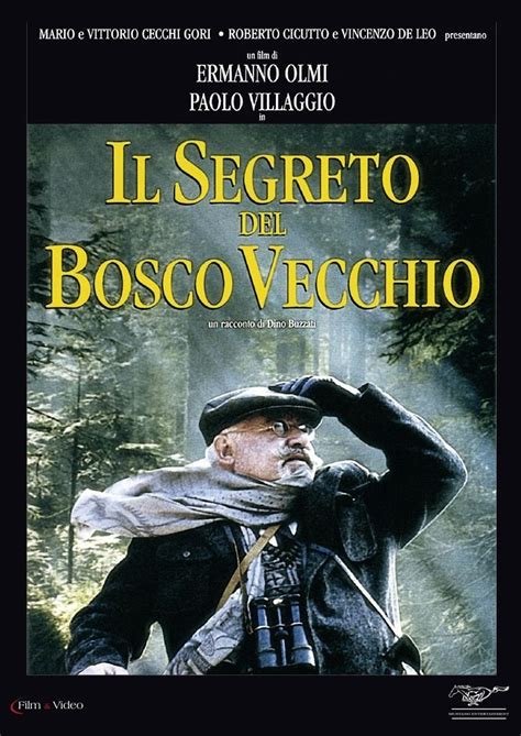 Il Segreto Del Bosco Vecchio Amazon It Paolo Villaggio Giulio Brogi