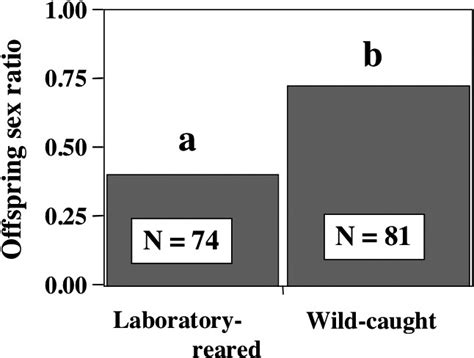 Overall Offspring Sex Ratio Of A Lanceolatus Offspring Sex Ratio