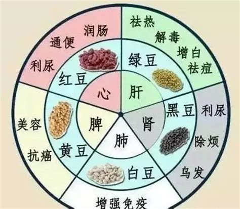 5色5味养五脏，吃对食物养生有方～大自然食物五脏新浪新闻