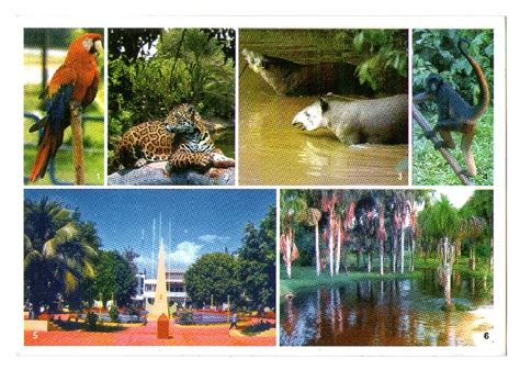 Postcards Journey: Peru - Tarapoto