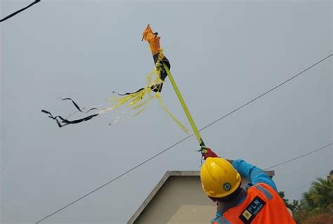 Gangguan Listrik Akibat Layang Layang PLN Ingatkan Masyarakat Akan