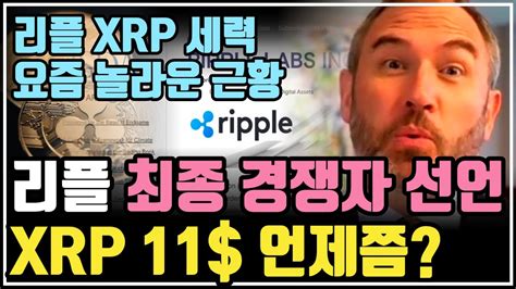 리플의 충격적인 미래 비전 ⎮ 리플 리플코인 리플소송 리플전망 Xrp Xrpnews 크립토블라블라 Youtube