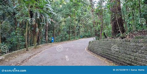 Velha Parede De Tijolos De Pedras Escuras No Brasil Imagem De Stock Imagem De Barra Retro