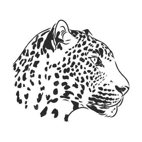 A Leopards Head Portrayed In A Black And White Vector Illustration