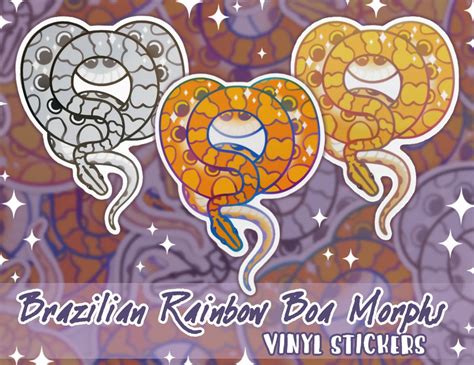 Brazilian Rainbow Boa Morphs Vinyl Stickers Snake Stickers - Etsy