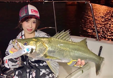 Namisu さんの 2022年10月28日のシーバスの釣り・釣果情報東京湾湾奥 アングラーズ 釣果400万件の魚釣り情報サイト