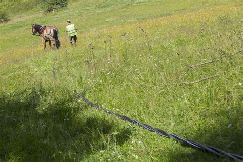 Lapoutroie Travaux Sur Une Ligne Haute Tension M Tres Talon