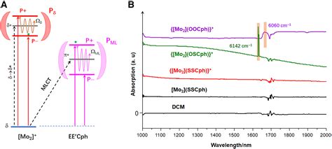 Zero Dimensional Molecular Exciton Polaritons In Cavity Free Solutions