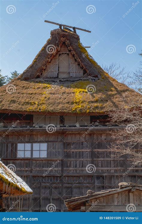 Closeup Photo Of A Traditional Thatched Roof House And Storage Sheds