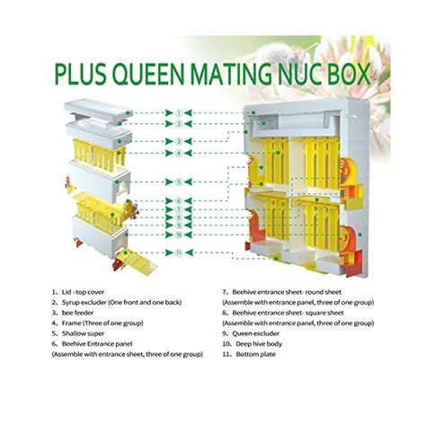 Bee Hives Boxes Plus Double Layer Queen Bee Mating Nuc Box Nuc Box For