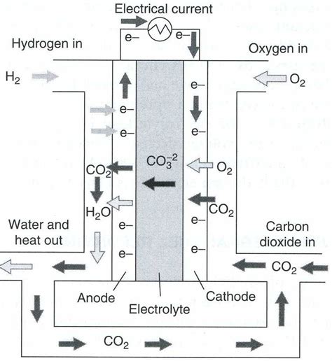 Electrochemistry Encyclopedia Fuel Cells