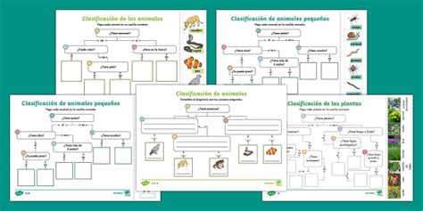 Fichas De Actividad Por Niveles Clasificaci N De Los Seres Vivos