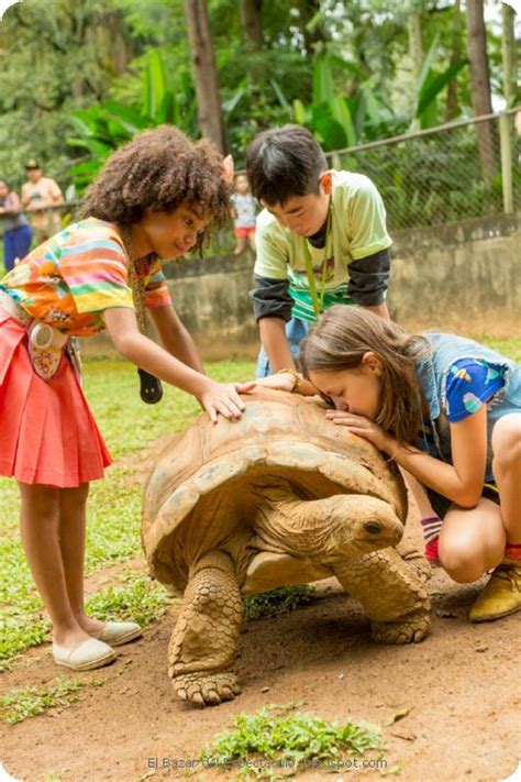 → Horario El Zoo De Zu 2º Temporada Estreno Discovery Kids Argentina