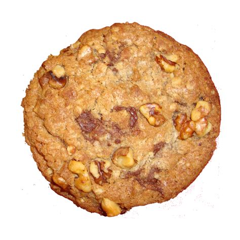 Oatmeal Walnut Chocolate Chip Cookie Hot Cookie