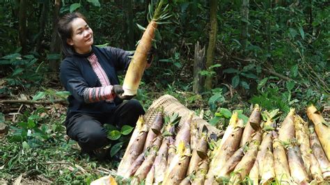 Go To The Market To Sell Bamboo Shoots To Traders Harvesting Bamboo Shoots Life Off The Grid