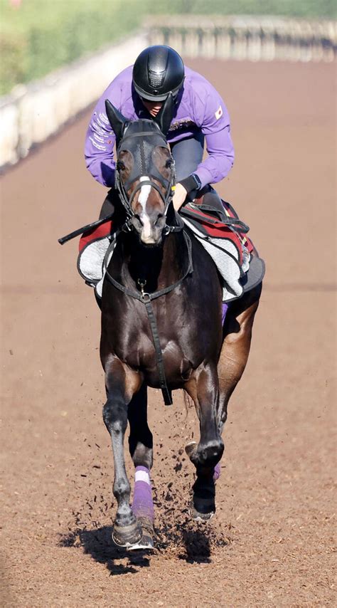 【エリザベス女王杯】ハーパーは古馬と初対戦 陣営「胸を張って、世代代表として出られる」 スポーツ報知