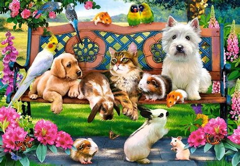 Puzzle Pets In The Park Castorland 104406 1000 Teile Puzzles Katzen